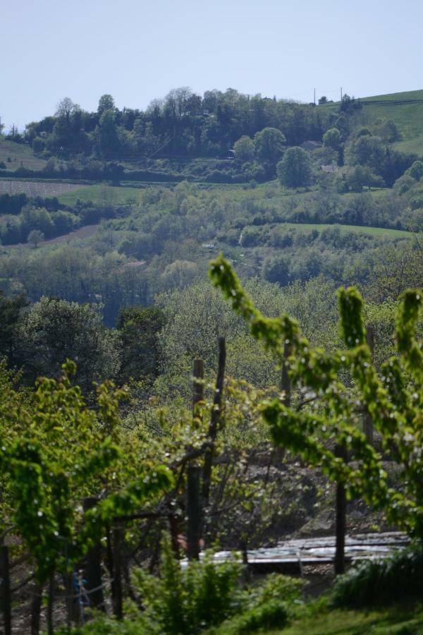Gite Les Pins Montchenu Luaran gambar